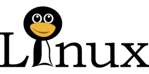 Medium