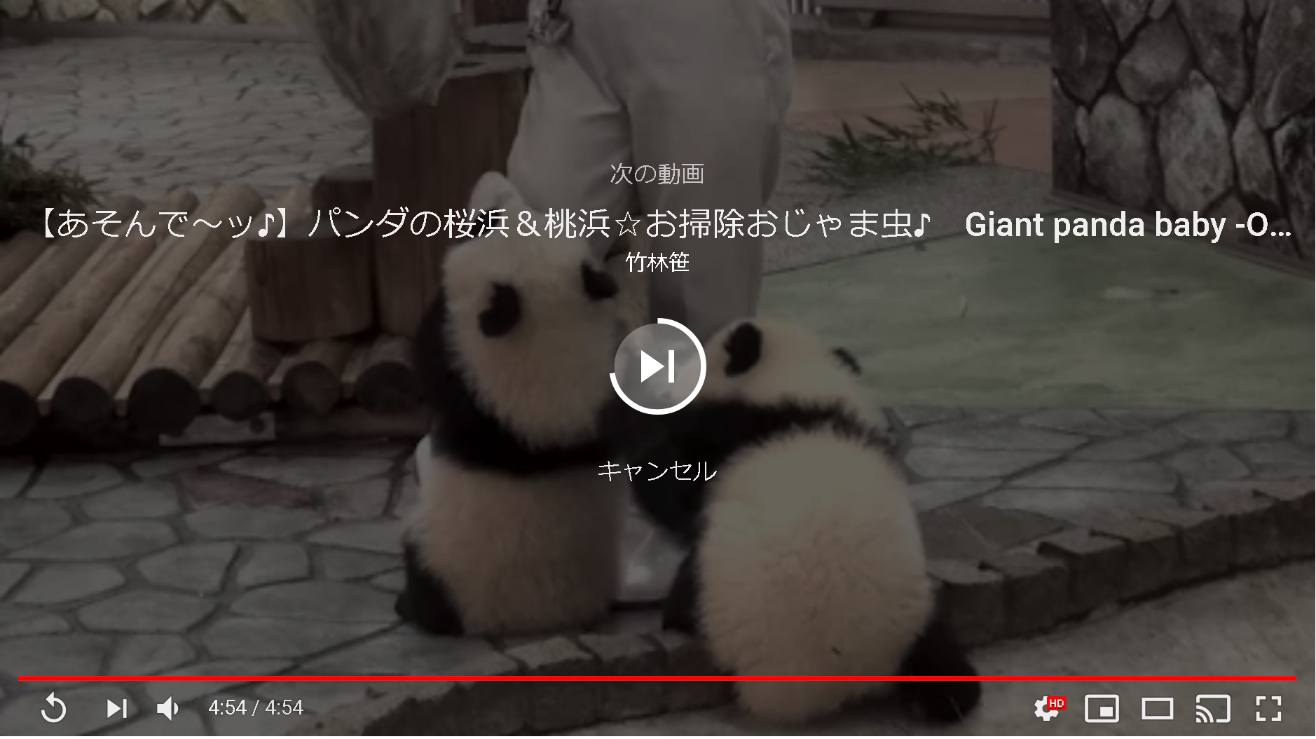 Youtubeが自動再生されない 自動再生オン オフの切り替え方 アプリやwebの疑問に答えるメディア