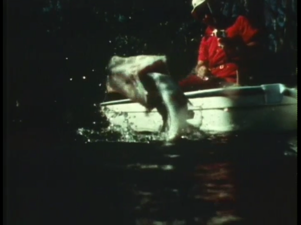 BIGMOUTH The Original1