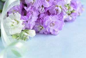 訃報の返信メール 手紙の書き方とは お悔やみの文例など紹介 カードローン審査相談所