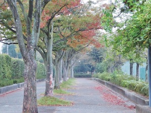 感傷に浸る の意味やその人の心理 特徴は ふける との違いも解説 カードローン審査相談所