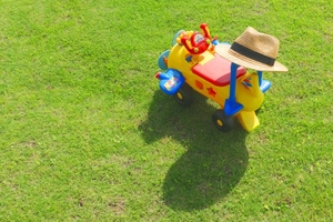 コンビカーは屋外 室内どちらでも人気 男女別おすすめ15選 女性のライフスタイルに関する情報メディア