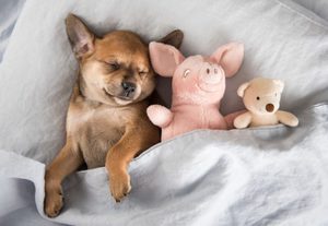 夢占い 逃げる夢の意味23選 心の中の不安や葛藤を示しているの 女性のライフスタイルに関する情報メディア