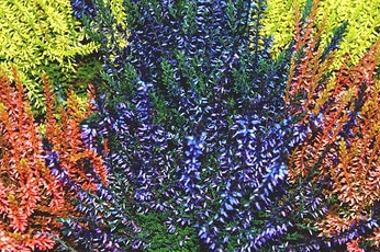 誕生日占い 9月17日生まれの人を徹底解説 恋愛や仕事などは 女性のライフスタイルに関する情報メディア