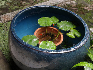 誕生日占い 2月6日生まれの人を徹底解説 恋愛や仕事などは 女性のライフスタイルに関する情報メディア