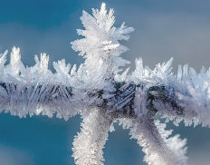 誕生日占い 12月5日生まれの人を徹底解説 恋愛や仕事などは 女性のライフスタイルに関する情報メディア