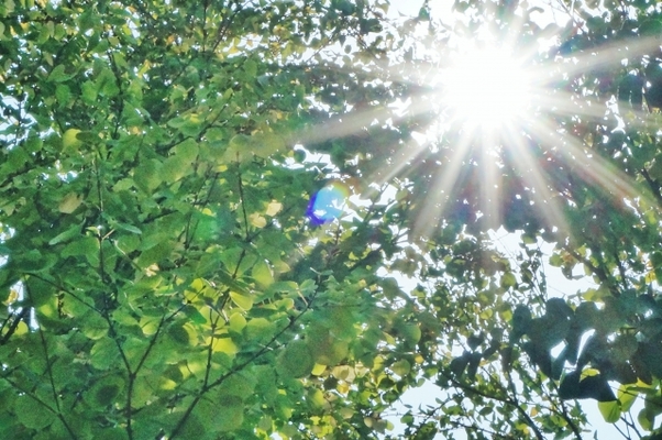 陽 の意味とは 四字熟語と慣用句10選も紹介 女性のライフスタイルに関する情報メディア