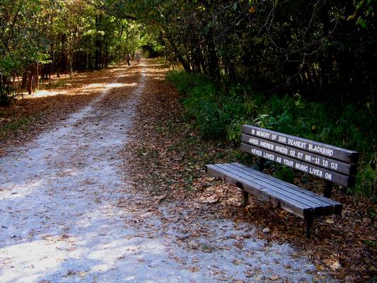 こないだ の意味や正しい使い方 このあいだ とは違うの 女性のライフスタイルに関する情報メディア