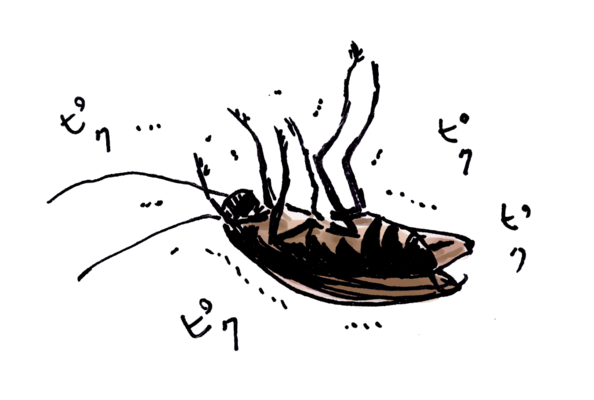 冬に窓を全開すると全滅 ゴキブリの効果的な対策について 女性のライフスタイルに関する情報メディア 冬に窓を全開すると全滅 ゴキブリの効果的な対策について 女性のライフスタイルに関する情報メディア