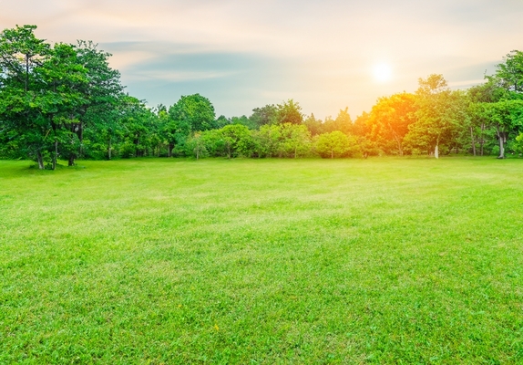 空いた土地の活用方法10選！現実的な土地活用手順や注意点も解説のイメージ