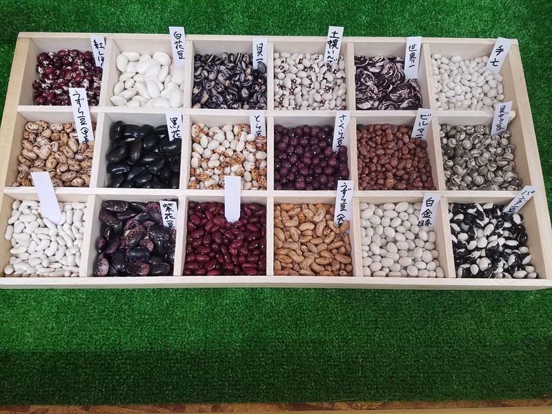 ささげ（大角豆）の秘密を徹底解剖！見た目がインゲンで豆は小豆に似てる？ | お食事ウェブマガジン「グルメノート」