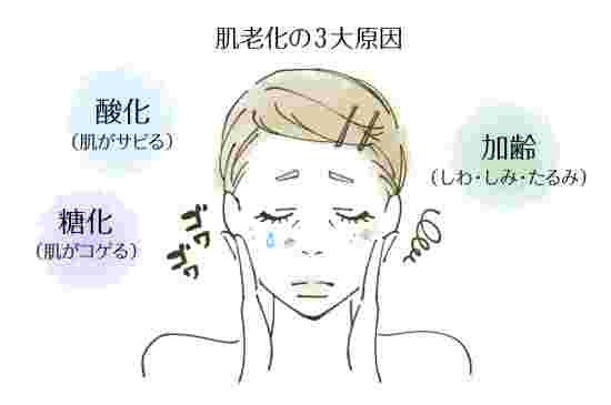 ごぼうの栄養や成分 効果とは 便秘や血糖値 美肌にも効果あり お食事ウェブマガジン グルメノート