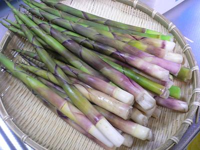 たけのこの旬と出回り時期は?選び方と美味しい食べ方も紹介! | お食事ウェブマガジン「グルメノート」
