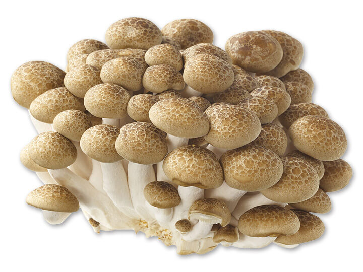 しめじの栄養と効能は？成分と栄養効果を上げる食べ方も紹介！ | お食事ウェブマガジン「グルメノート」