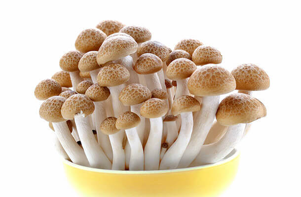 しめじの栄養と効能は？成分と栄養効果を上げる食べ方も紹介！ | お食事ウェブマガジン「グルメノート」