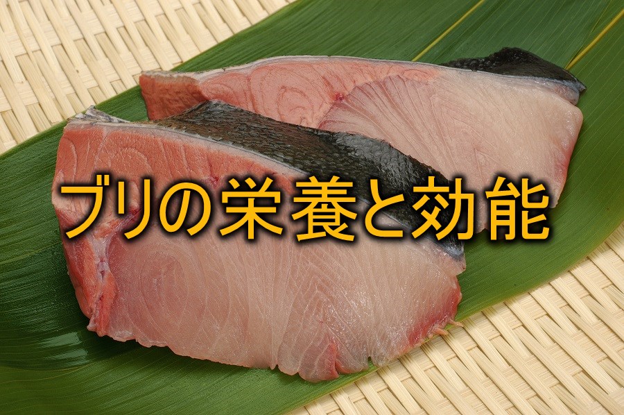 ぶりの旬の時期はいつなのか調査!寒ブリは冬で養殖は夏が旬? | お食事ウェブマガジン「グルメノート」