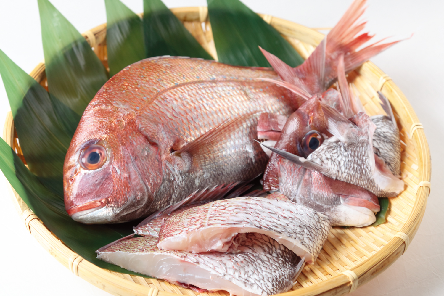 鯛の旬の時期はいつ?天然と養殖の違いや見分け方・値段を解説 | お食事ウェブマガジン「グルメノート」