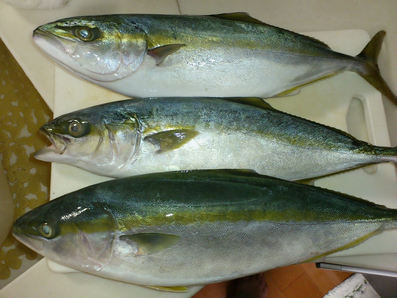 イナダの旬と刺身の捌き方は？美味しい食べ方や旬・値段も調査！ | お食事ウェブマガジン「グルメノート」