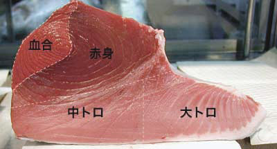 マグロには種類とランクがある？特徴と見分け方や味と値段を比較調査！ | お食事ウェブマガジン「グルメノート」