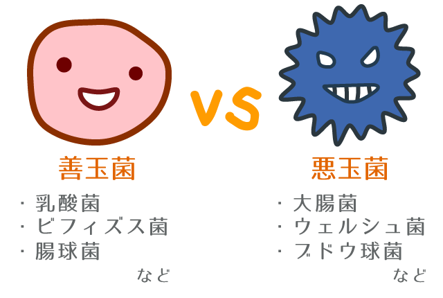 http://img15.shop-pro.jp/PA01158/159/product/38219178.jpg?20111225115216