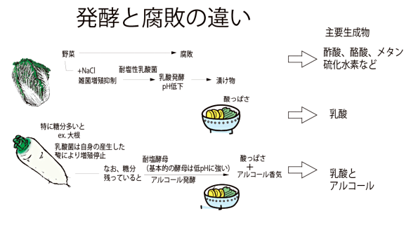 http://img15.shop-pro.jp/PA01158/159/product/38219178.jpg?20111225115216