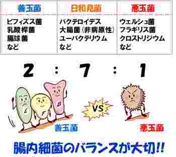 http://img15.shop-pro.jp/PA01158/159/product/38219178.jpg?20111225115216