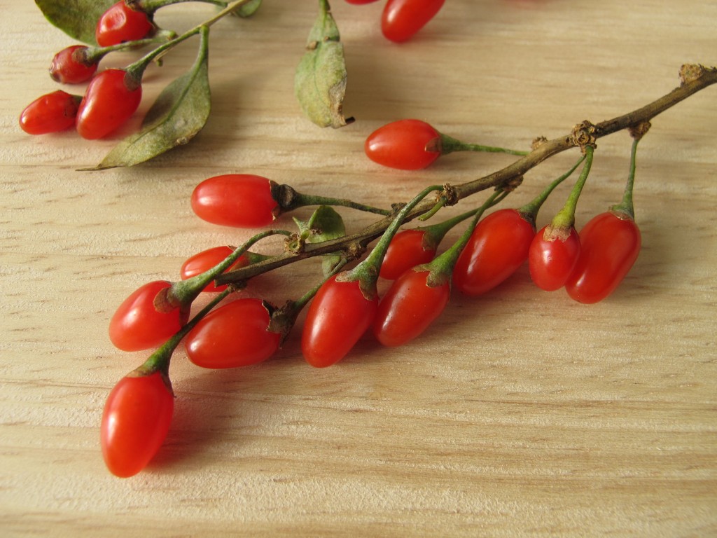 クコの実の食べ方はそのまま？戻し方は？効能や食べる量を徹底解説！ | お食事ウェブマガジン「グルメノート」