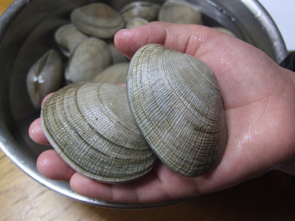 あさりの旬はいつから?美味しい時期と産地の見分け方や特徴を解説! | お食事ウェブマガジン「グルメノート」
