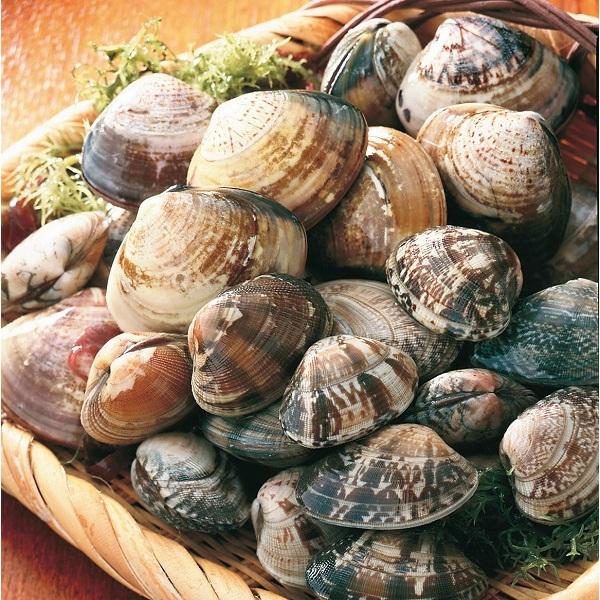 あさりの旬はいつから?美味しい時期と産地の見分け方や特徴を解説! | お食事ウェブマガジン「グルメノート」