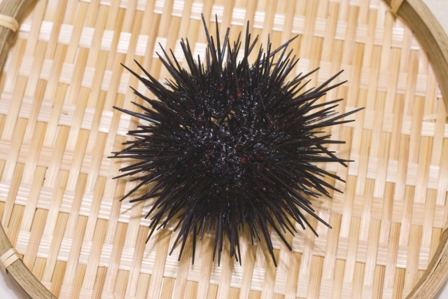 うには栄養が豊富！栄養成分や効果・効能などを詳しく解説！ | お食事ウェブマガジン「グルメノート」