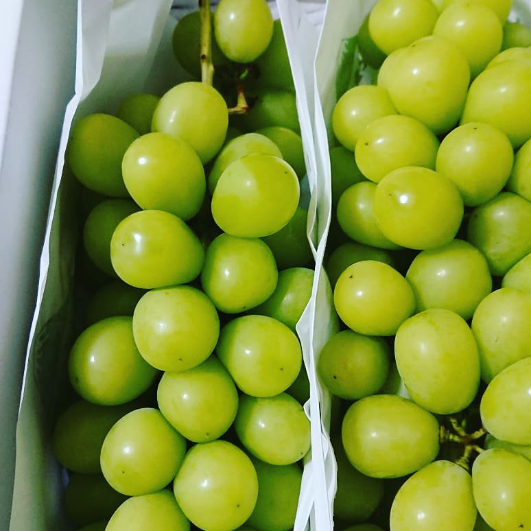 シャインマスカットの食べ方や皮はどうする？むき方や冷凍方法なども紹介 お食事ウェブマガジン「グルメノート」