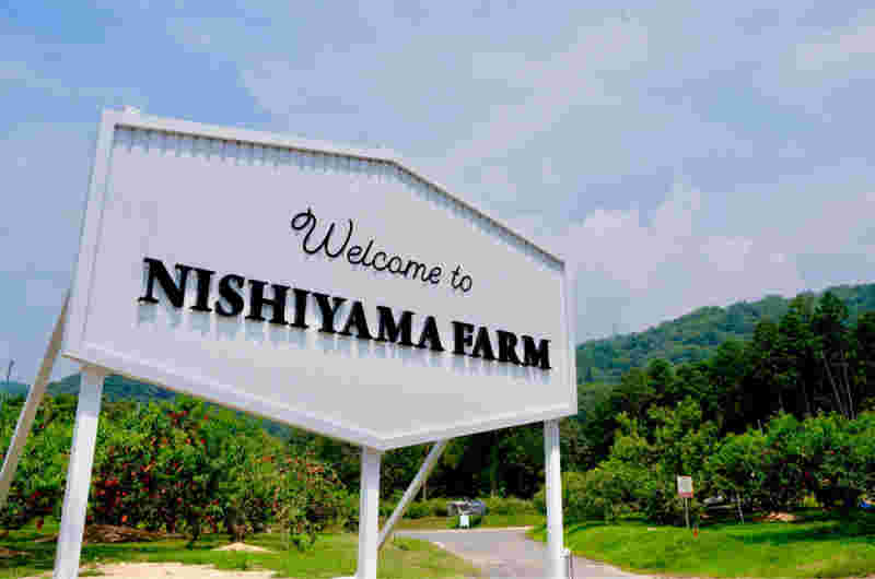西山ファーム看板