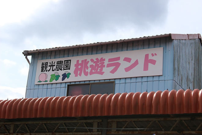 桃遊ランド看板