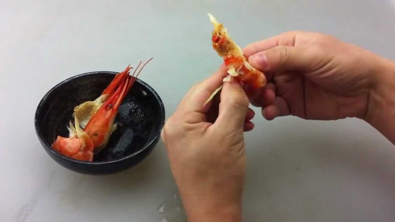 北海シマエビの食べ方とは？旨さの秘密や旬の時期も紹介！ お食事ウェブマガジン「グルメノート」