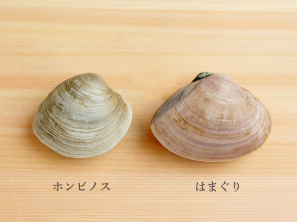 貝の種類のまとめ!食べられる貝・食べられない貝の見分け方も! | お食事ウェブマガジン「グルメノート」