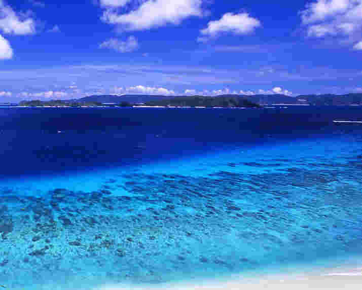 沖縄の海