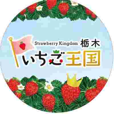 いちご大国栃木