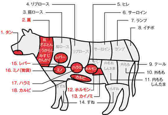 カルビの部位ってどこ？肉質ごとの特徴や牛の部位について紹介！ | お食事ウェブマガジン「グルメノート」