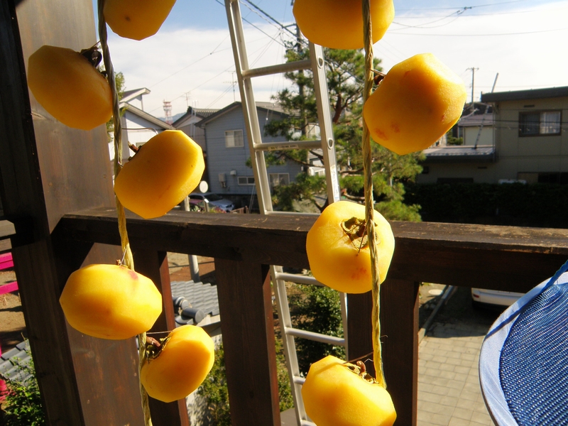 干し柿にカビが生えたら?見分け方や取り方・焼酎を使った防止方法も! お食事ウェブマガジン「グルメノート」 干し柿にカビが生えたら?見分け方や取り方・焼酎を使った防止方法も! お食事ウェブマガジン「グルメノート」