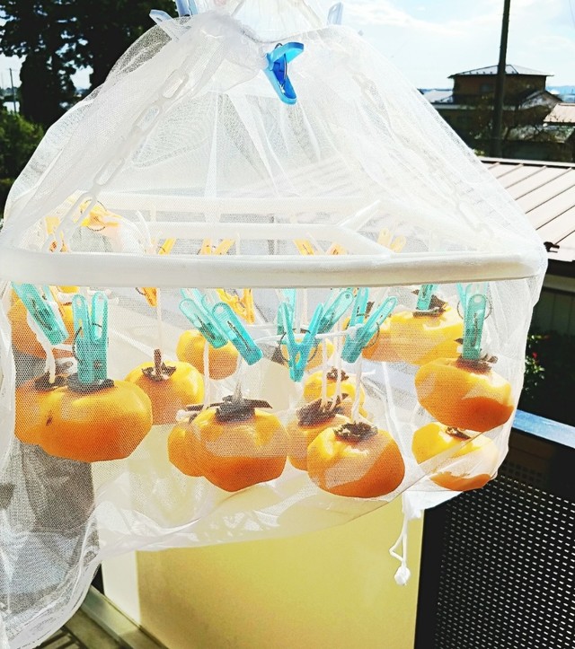干し柿にカビが生えたら?見分け方や取り方・焼酎を使った防止方法も! お食事ウェブマガジン「グルメノート」 干し柿にカビが生えたら?見分け方や取り方・焼酎を使った防止方法も! お食事ウェブマガジン「グルメノート」