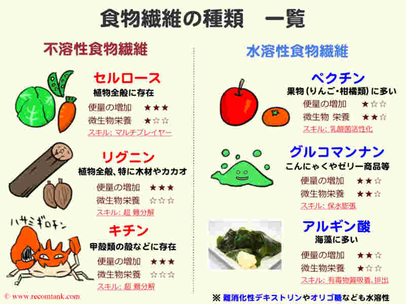 食物繊維の種類の図。セルロースやピクチンなど