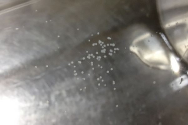 水筒の洗い方の正しい方法！底まできれいに汚れを落とすコツとは？ | お食事ウェブマガジン「グルメノート」