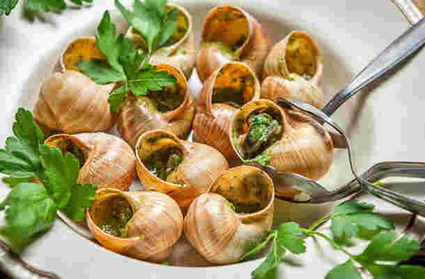 エスカルゴとは ブルゴーニュ郷土料理の食べ方やかたつむりとの違い お食事ウェブマガジン グルメノート