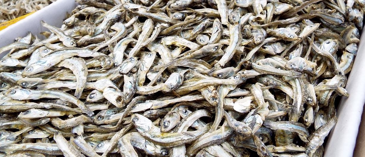 いりこと煮干しのだしの取り方や種類の違いとは？レシピも解説！ お食事ウェブマガジン「グルメノート」