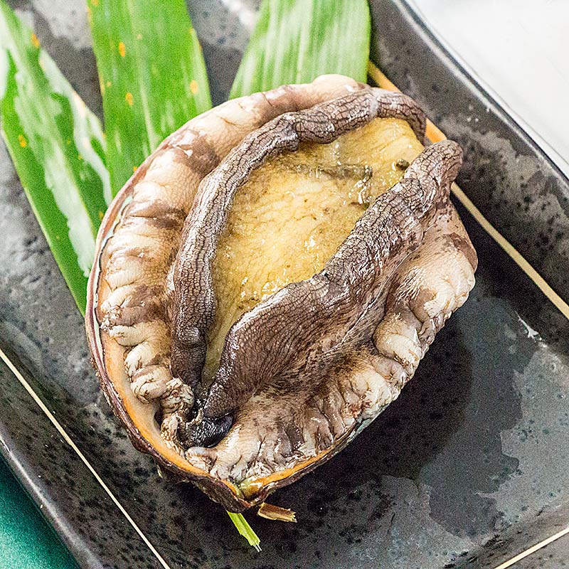 とこぶしとアワビの違いとは?おいしい食べ方や栄養素など紹介! | お食事ウェブマガジン「グルメノート」