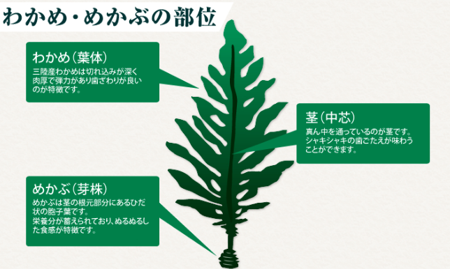 わかめの栄養効果がすごい 健康維持や便秘改善に抜群の効果アリ お食事ウェブマガジン グルメノート