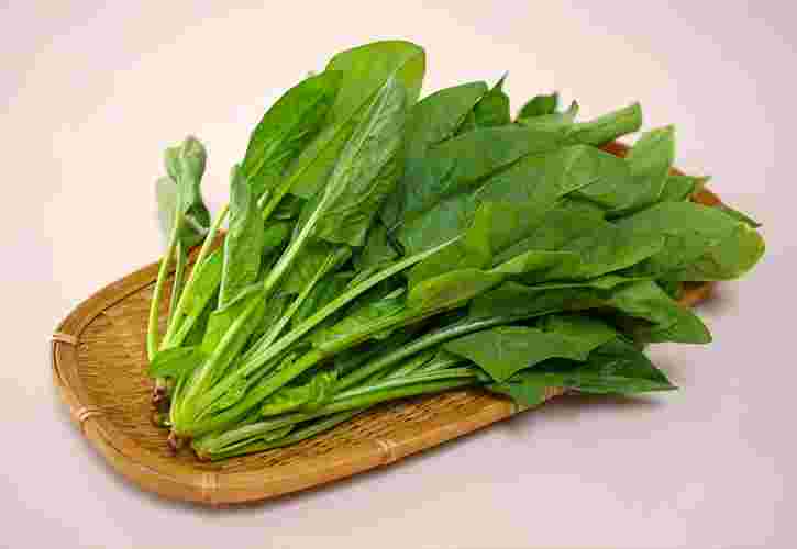 長方形の竹ザルの上にほうれん草の束が綺麗に並べられている