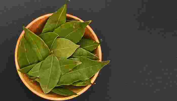 ベイリーフとローリエの違いと見分け方 使い方や代用も紹介 お食事ウェブマガジン グルメノート