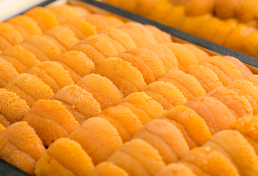 ウニの旬の時期っていつ?ウニの産地別に食べ頃が知りたい! | お食事ウェブマガジン「グルメノート」