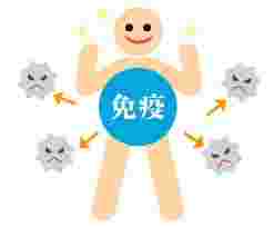 免疫力アップのイメージ